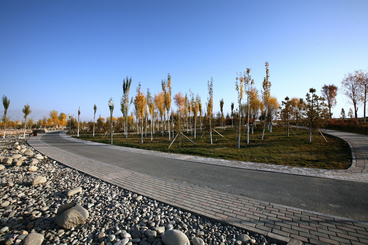 新疆巴州和碩濱河公園