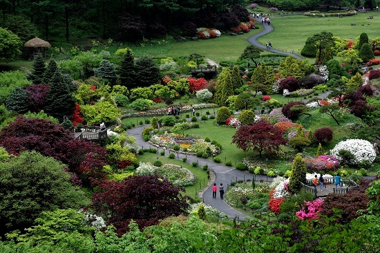 京畿道加平晨靜樹木園——賞楓賞菊的誘惑