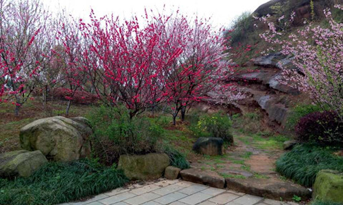 園冶杯專業(yè)獎(jiǎng)：鹿鳴公園景觀工程