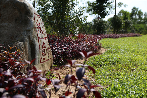 園冶杯專業(yè)獎(jiǎng)：不忘初心·共建紅林