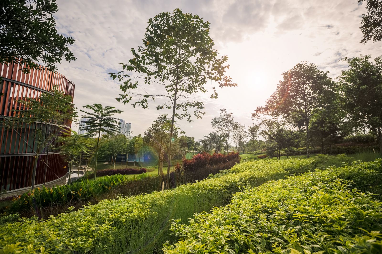 園冶杯專業(yè)獎(jiǎng)：M公園畫廊