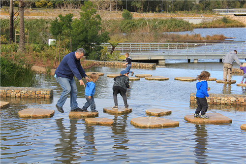 2019園冶杯專業(yè)獎大獎丨悉尼公園水再利用工程景觀設計