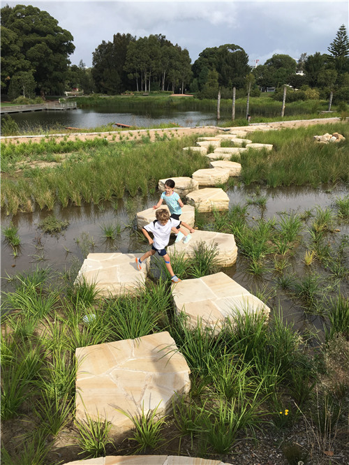 2019園冶杯專業(yè)獎大獎丨悉尼公園水再利用工程景觀設計