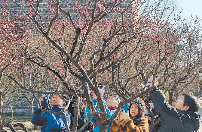 北京已有公園1100個 三分之二無界融通